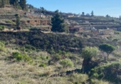 Земля на продажу у города Granadilla de Abona Фото
