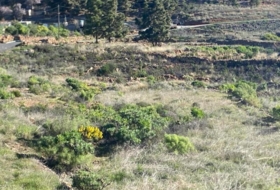 Granadilla de Abona 6889&nbsp;м²