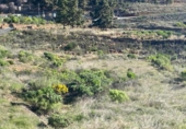Земля на продажу у города Granadilla de Abona Фото