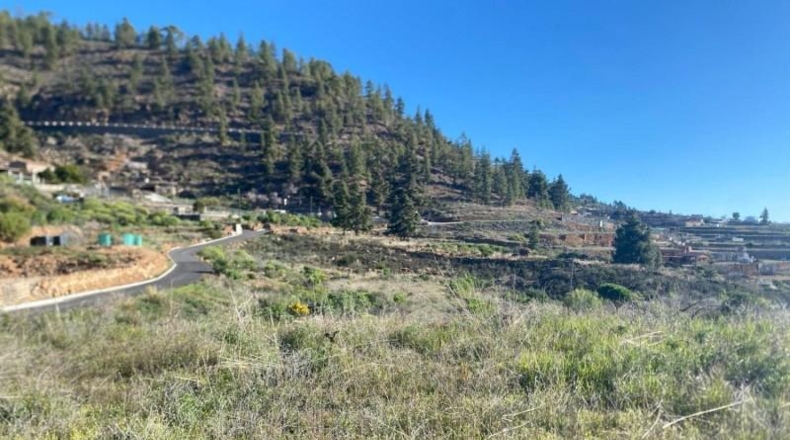 Santa Creu de Tenerife - Granadilla de Abona - 6889m2