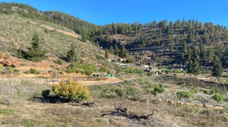 Santa Creu de Tenerife - Granadilla de Abona - 6889m2