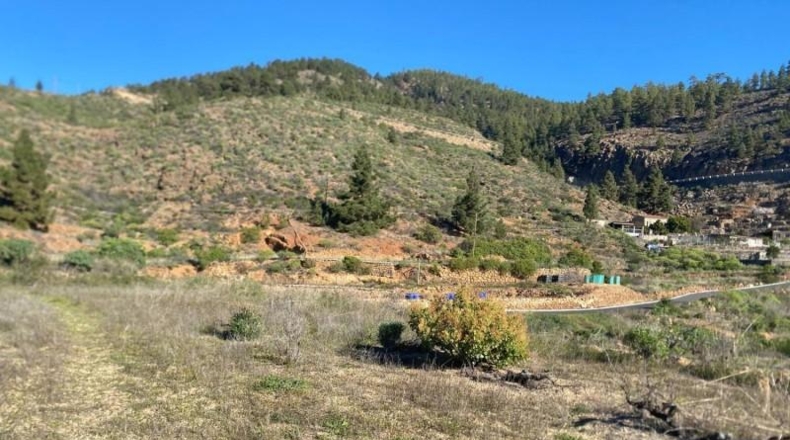 Santa Creu de Tenerife - Granadilla de Abona - 6889m2