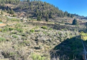 Земля на продажу у города Granadilla de Abona Фото