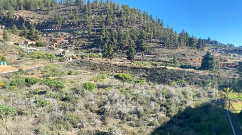 Santa Creu de Tenerife - Granadilla de Abona - 6889m2