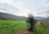 Casa de camp amb terreny en venda a la España, Lazana, ref.: TR407408 foto