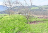Casa de camp amb terreny en venda a la España, Lazana, ref.: TR407408 foto
