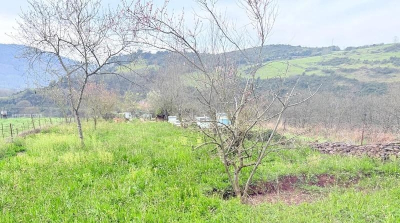 Asturias - Lazana - 21535m2