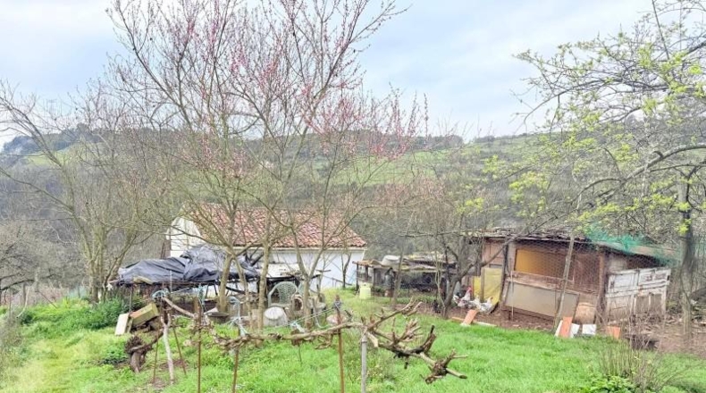 Asturias - Lazana - 21535m2