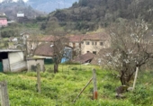 Casa de camp amb terreny en venda a la España, Lazana, ref.: TR407408 foto
