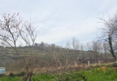 Casa de camp amb terreny en venda a la España, Lazana, ref.: TR407408 foto