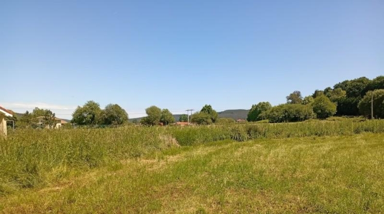 Cantàbria - Carandía - 1109m2