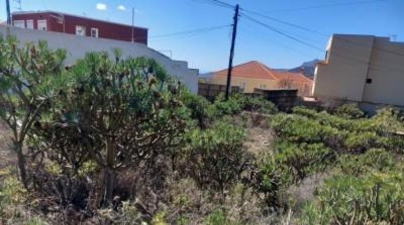 Santa Creu de Tenerife - Granadilla de Abona - 369m2