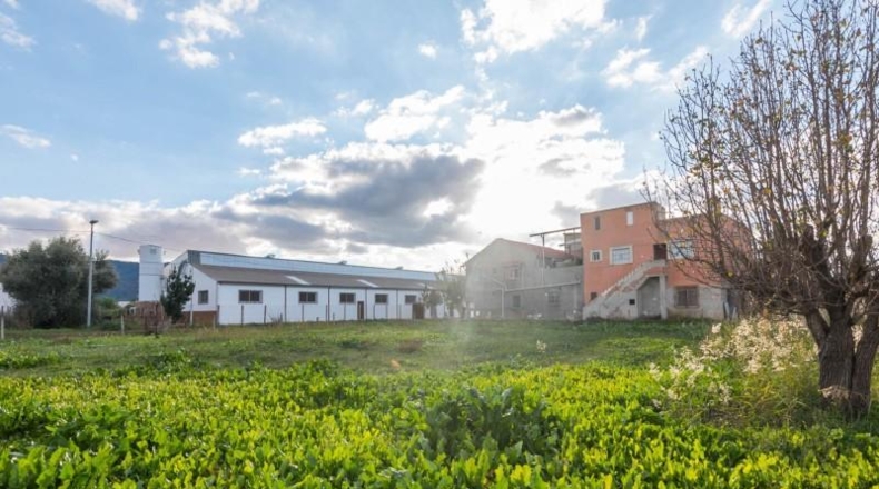 Múrcia - Murcia - 1720m2