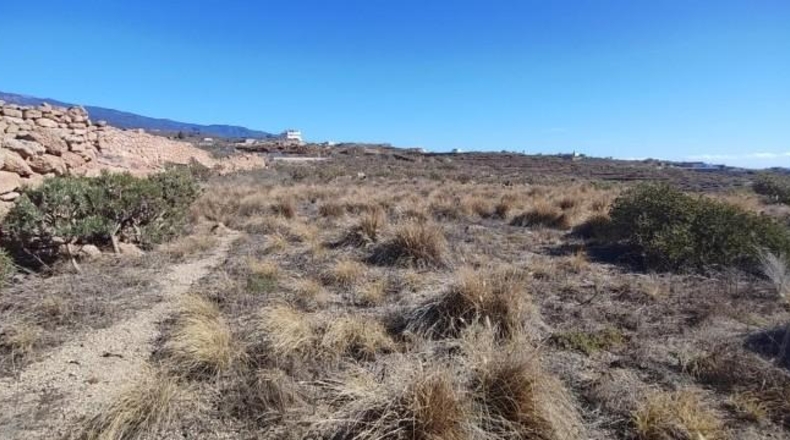 Santa Creu de Tenerife - Granadilla de Abona - 8766m2