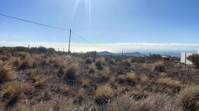 Santa Creu de Tenerife - Granadilla de Abona - 8766m2