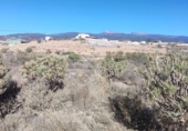 Земля на продажу у города Granadilla de Abona Фото