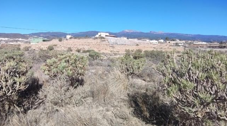 Santa Creu de Tenerife - Granadilla de Abona - 8766m2