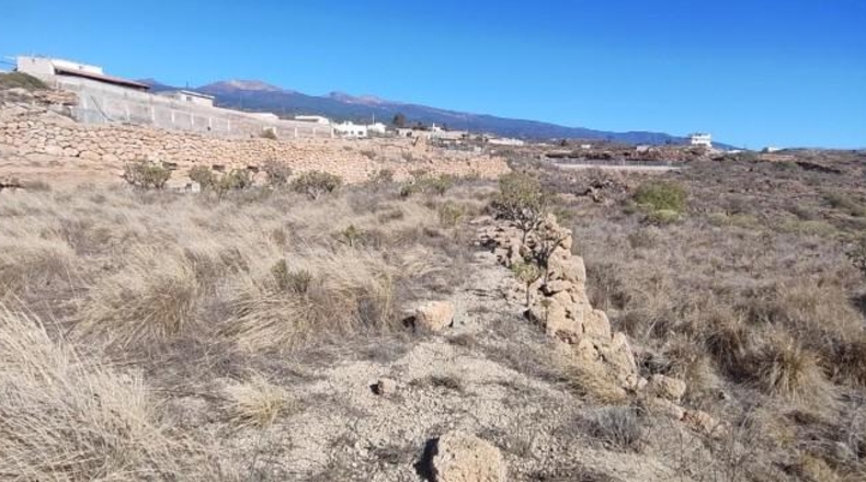 Santa Creu de Tenerife - Granadilla de Abona - 8766m2