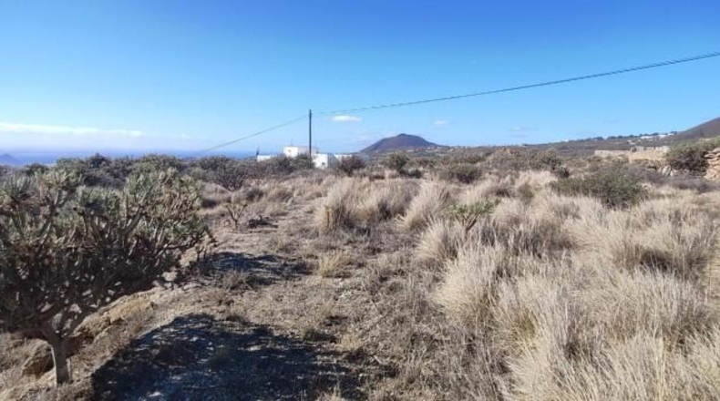 Santa Creu de Tenerife - Granadilla de Abona - 8766m2