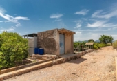 Terreny no urbanitzable en venda a la España, Vila-real, ref.: TR131896 foto