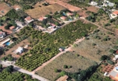 Terreny no urbanitzable en venda a la España, Vila-real, ref.: TR131896 foto