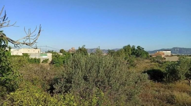 Мурсия - Murcia - 1200m2