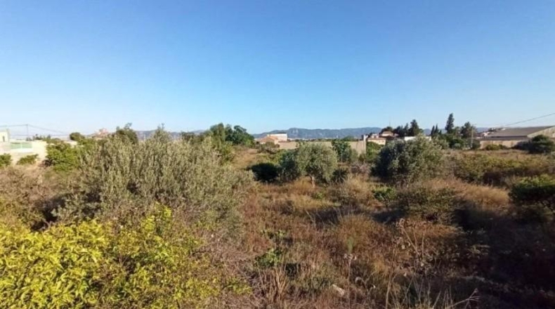 Мурсия - Murcia - 1200m2