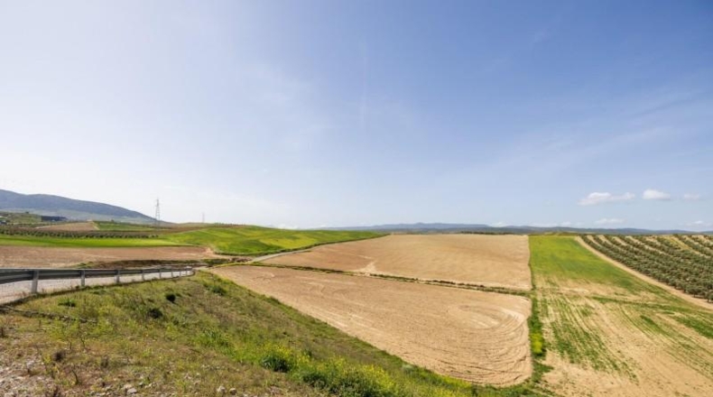 Granada - Villa de Otura - 58495m2
