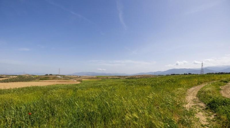 Granada - Villa de Otura - 58495m2