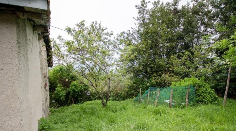 Asturias - Villaviciosa - 187m2
