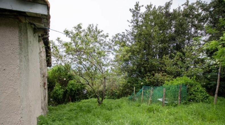 Asturias - Villaviciosa - 187m2