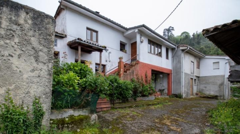 Asturias - Villaviciosa - 187m2