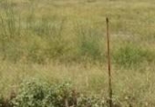 Urban land for sale on España, Murcia, ref: TR407457 photo