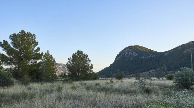 Alicante - Sella - 15500m2