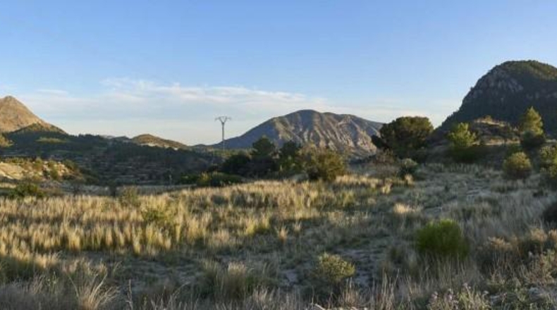 Alicante - Sella - 15500m2
