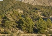 Terreny no urbanitzable en venda a la España, Sella, ref.: TR407450 foto
