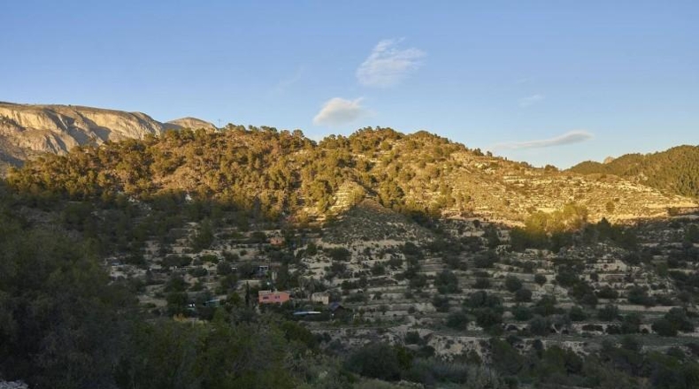 Alicante - Sella - 15500m2
