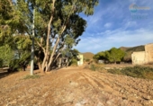 Casa de camp amb terreny en venda a la España, Fuente Álamo, ref.: TR341647 foto