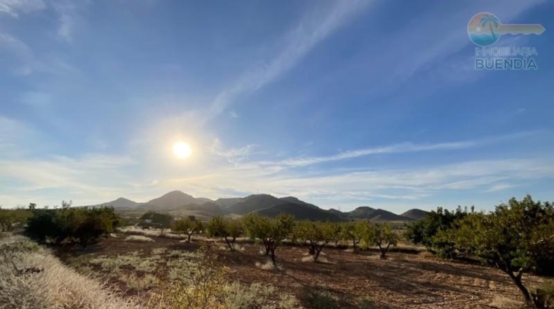 Murcia - Fuente Álamo de Murcia - 8909m2