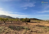Casa de camp amb terreny en venda a la España, Fuente Álamo, ref.: TR341647 foto