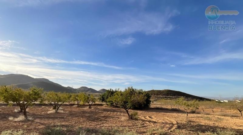 Murcia - Fuente Álamo de Murcia - 8909m2
