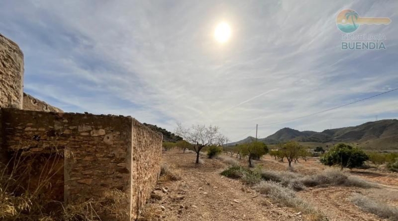 Murcia - Fuente Álamo de Murcia - 8909m2