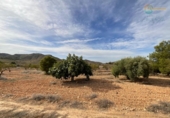 Casa de camp amb terreny en venda a la España, Fuente Álamo, ref.: TR341647 foto