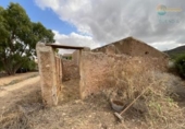 Casa de camp amb terreny en venda a la España, Fuente Álamo, ref.: TR341647 foto