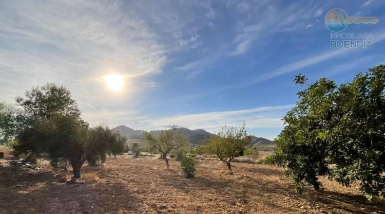 Murcia - Fuente Álamo de Murcia - 8909m2