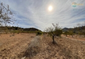 Casa de camp amb terreny en venda a la España, Fuente Álamo, ref.: TR341647 foto