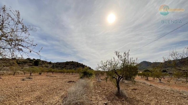 Murcia - Fuente Álamo de Murcia - 8909m2