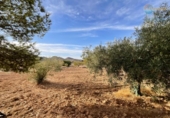 Casa de camp amb terreny en venda a la España, Fuente Álamo, ref.: TR341647 foto