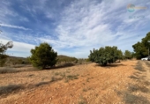Casa de camp amb terreny en venda a la España, Fuente Álamo, ref.: TR341647 foto