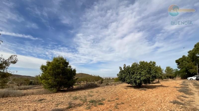 Murcia - Fuente Álamo de Murcia - 8909m2